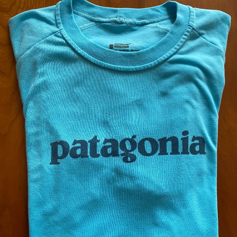 Men’s Patagonia Short Sleeve Logo T-Shirt, Size Small, Turquoise